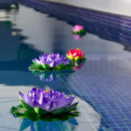 Serendipia Del Sur * 칸델라리아